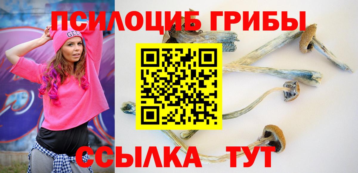 Королёв  закладка  Вход с VPN  Галлюциногенные грибы Psilocybe 