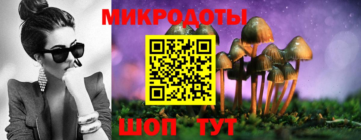 Псилоцибиновые грибы GOLDEN TEACHER Королёв